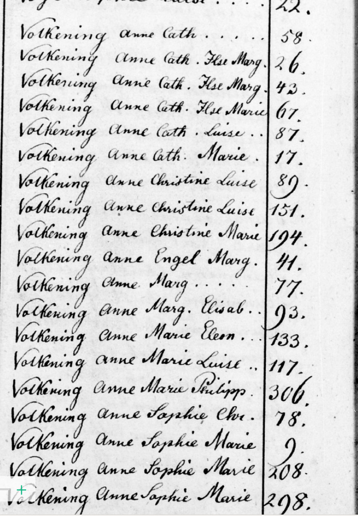 anne m volkening index
