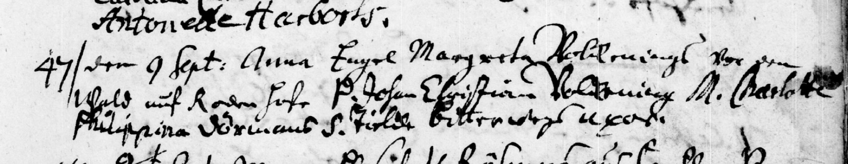 frille band2 img23 41